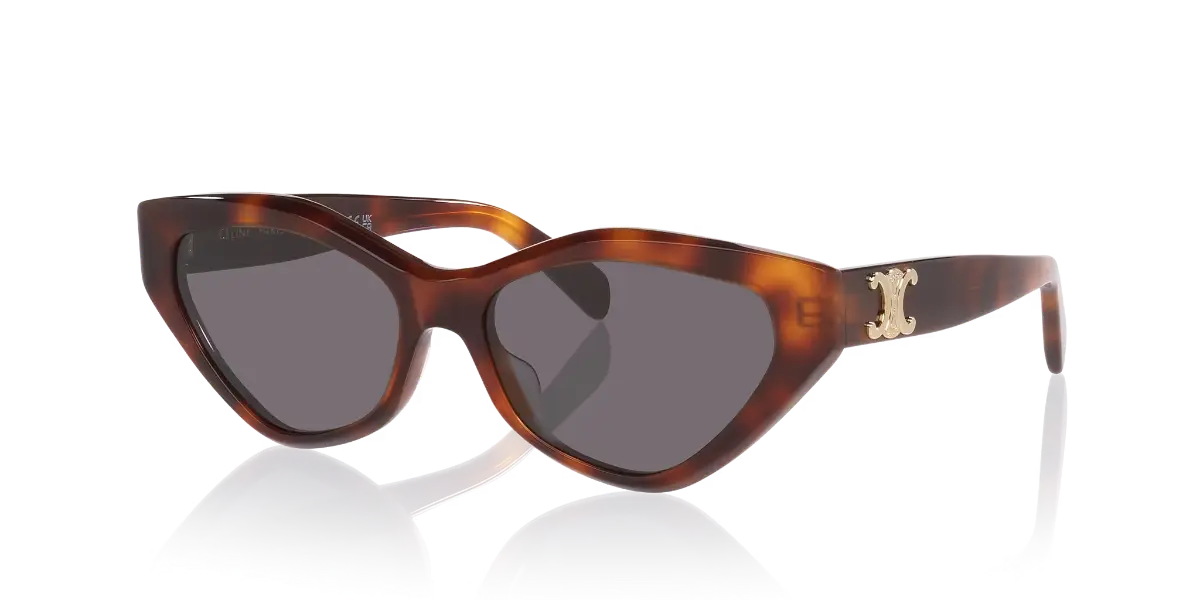 Celine Triomphe CL40194U black cat-eye sunglasses with gold temple detail