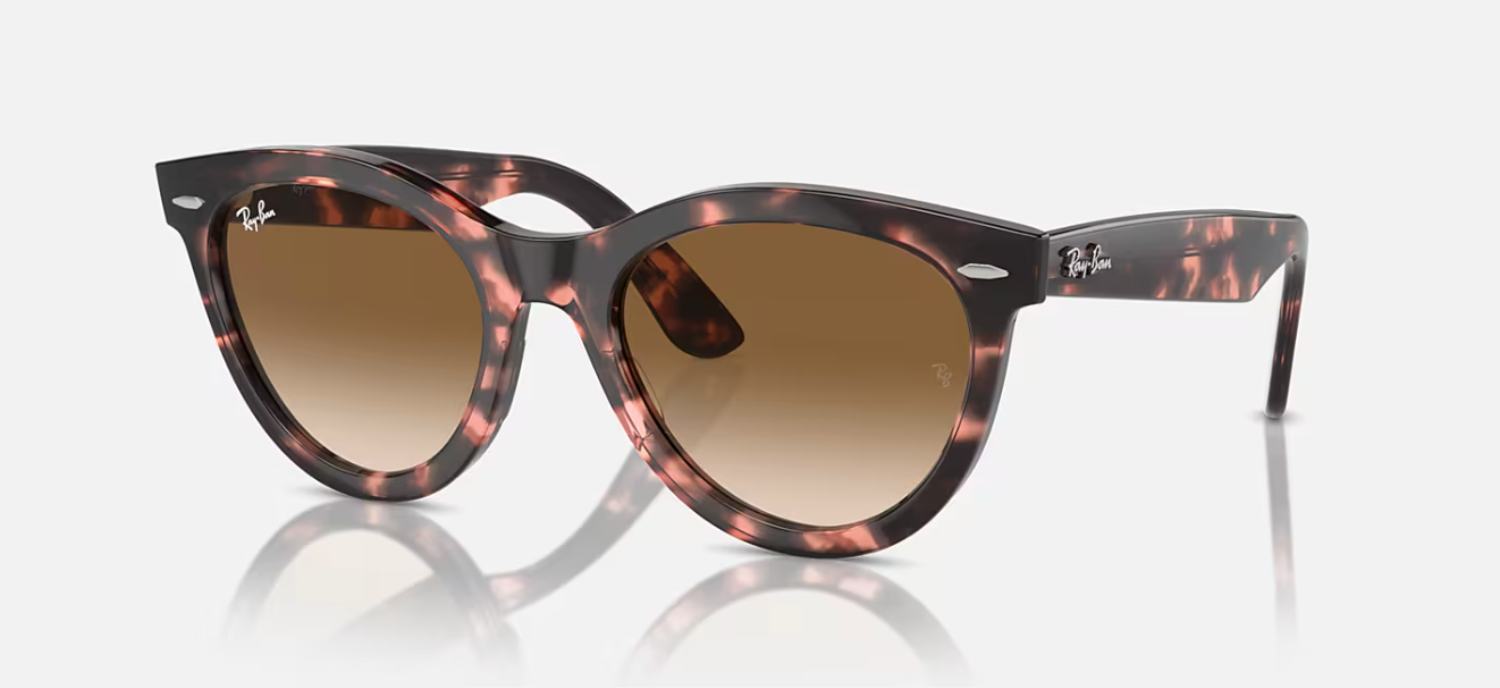 The best modern wayfarer sunglasses by Ray-Ban 2026 on a white background