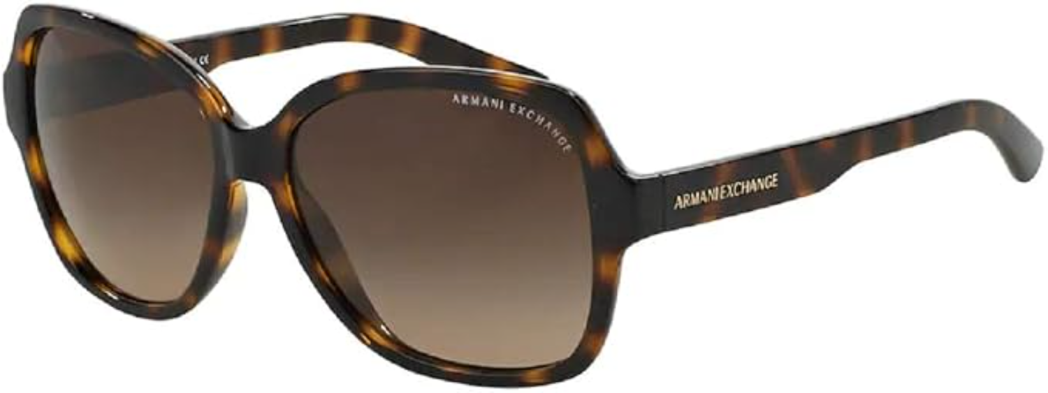 The best oversized cat-eye sunglasses by Armani Exchange 2026 on a white background