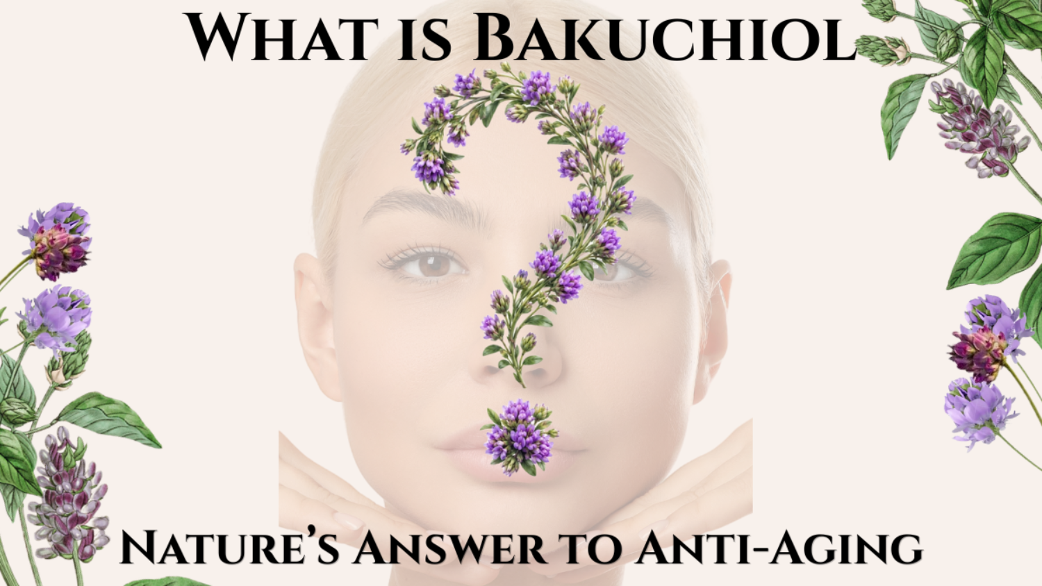 What is bakuchiol, nature's answer to anti-aging, the natural retinol alternative for skin in 2026