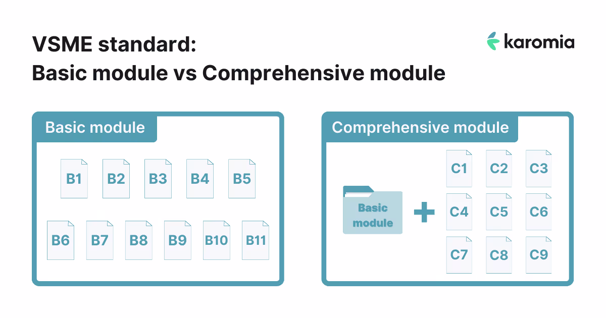 VSME standard: basic module vs comprehensive module