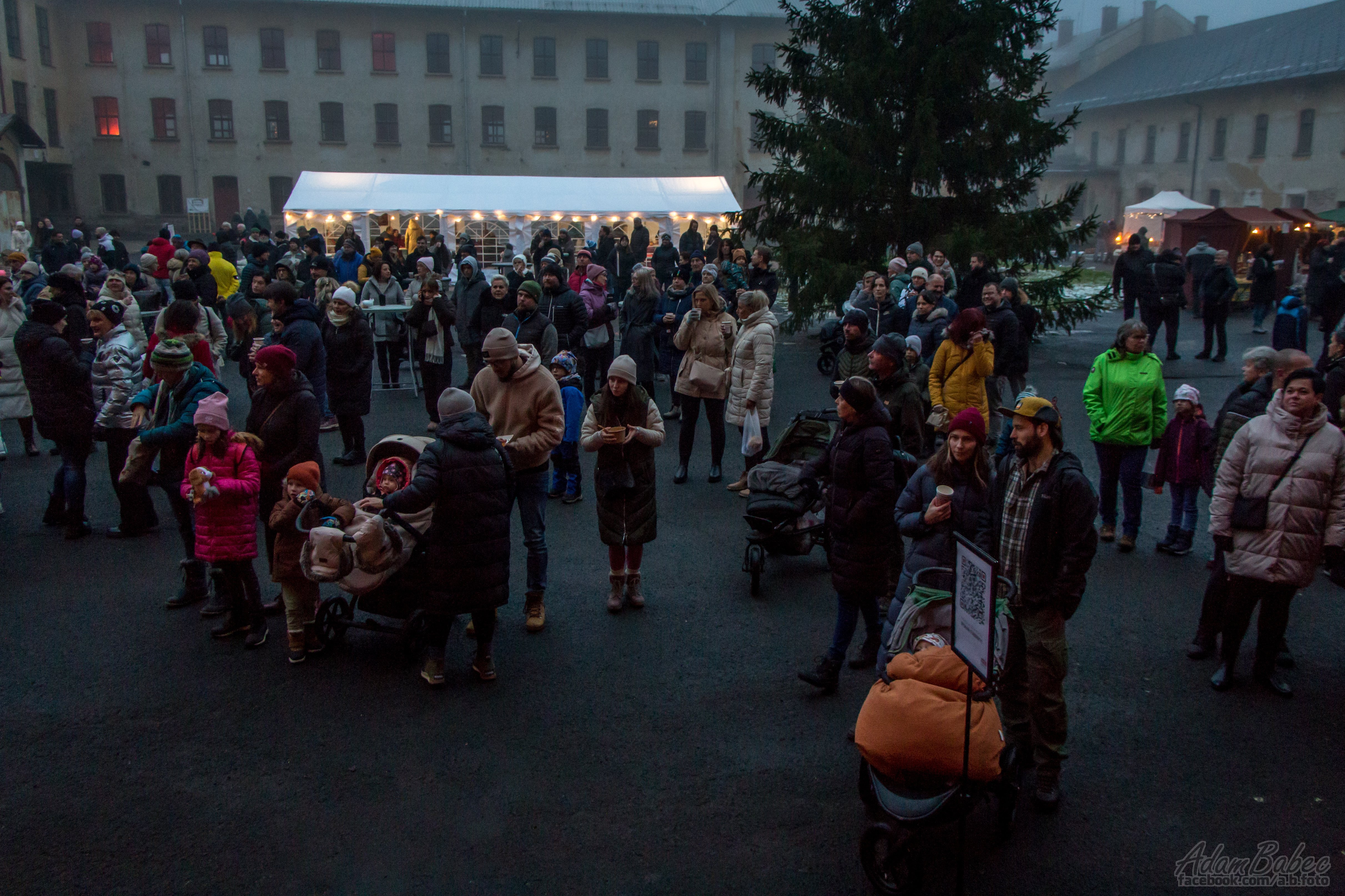 Project Gallery Image