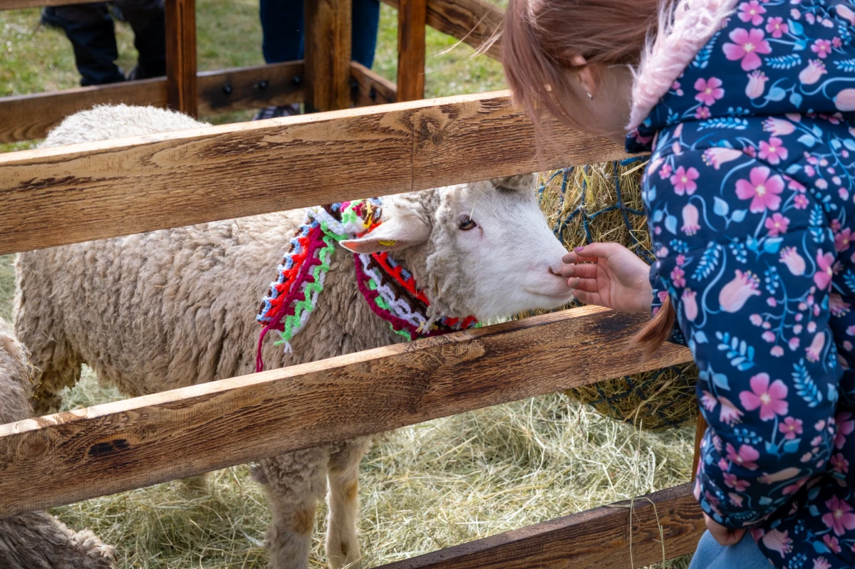 Project Gallery Image