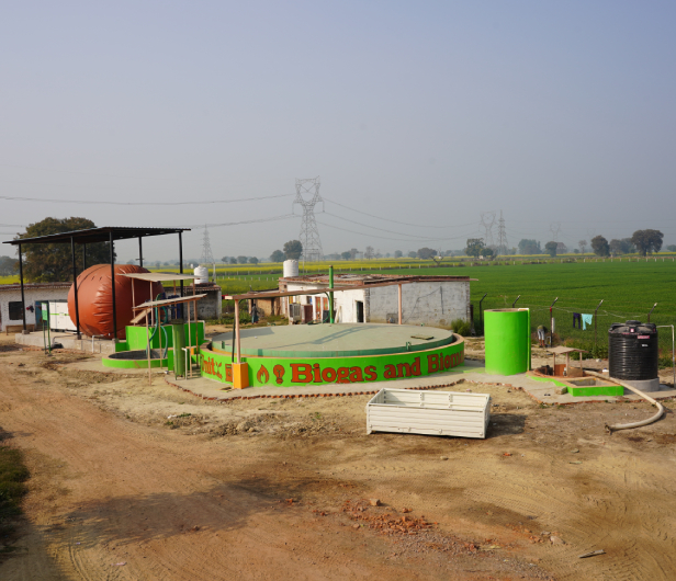 250 Cum Aligarh