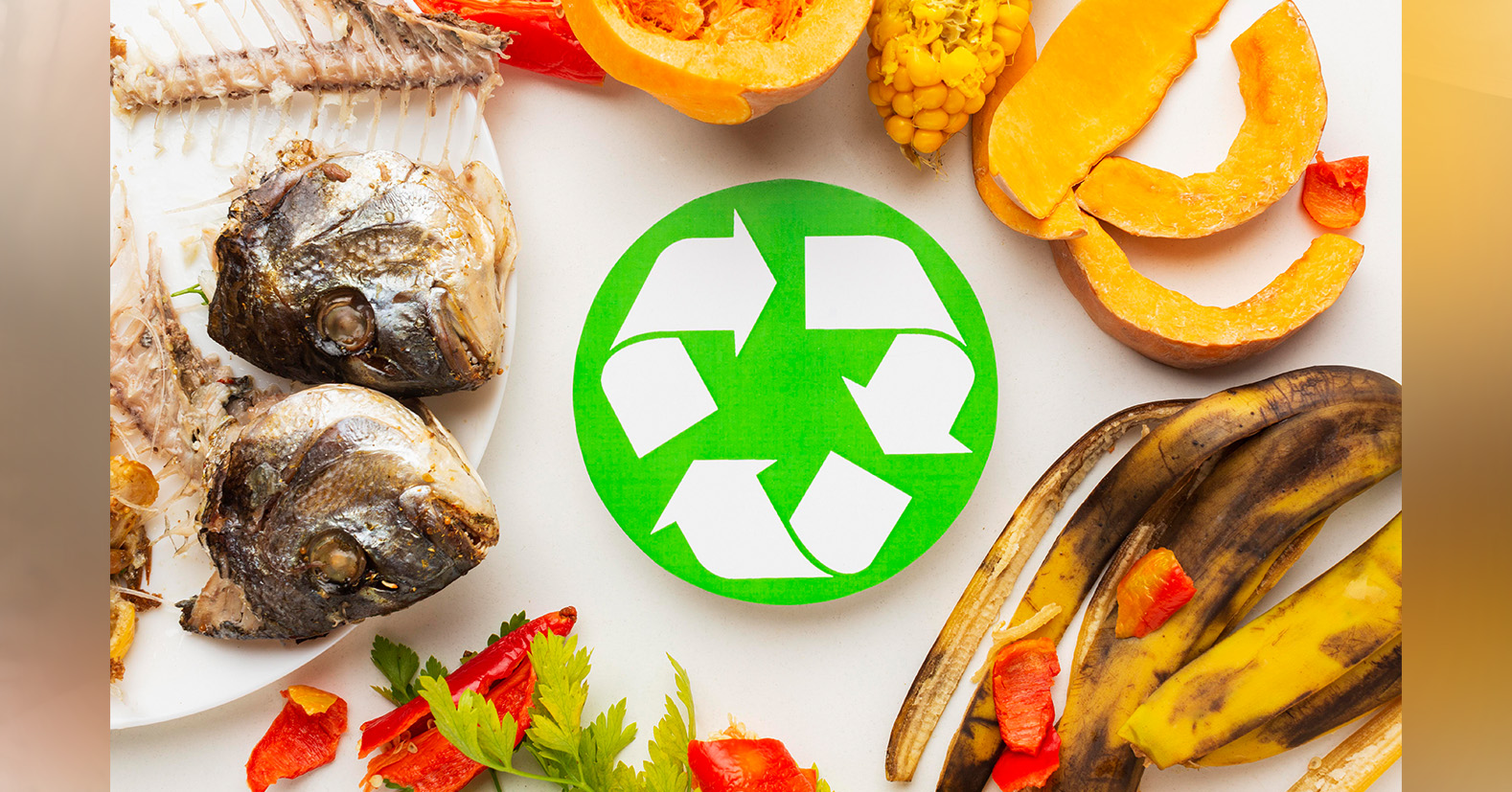 Organic Waste Management