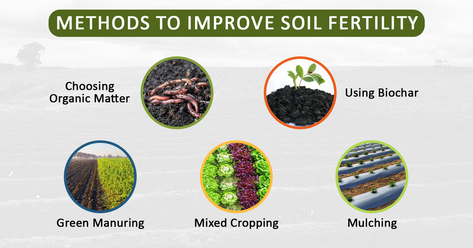 Methods to Improve soil fertility