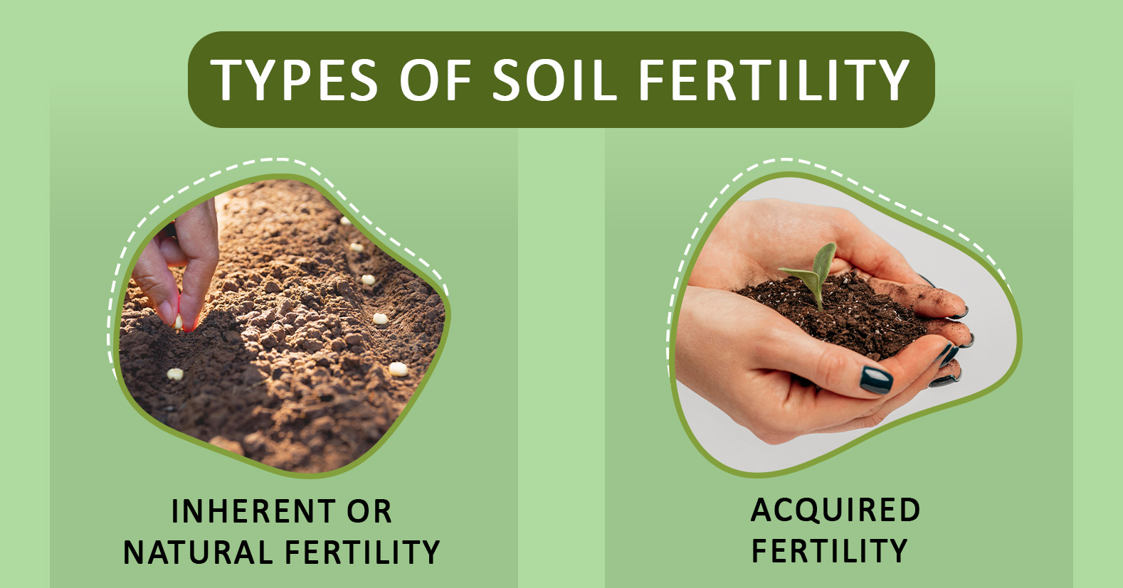 Types Of Soil Fertility