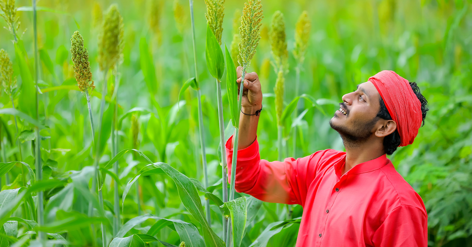 Natural Farming