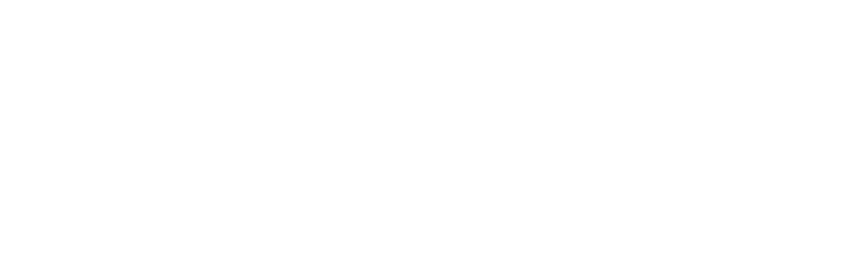 Massimo DiDonna logo
