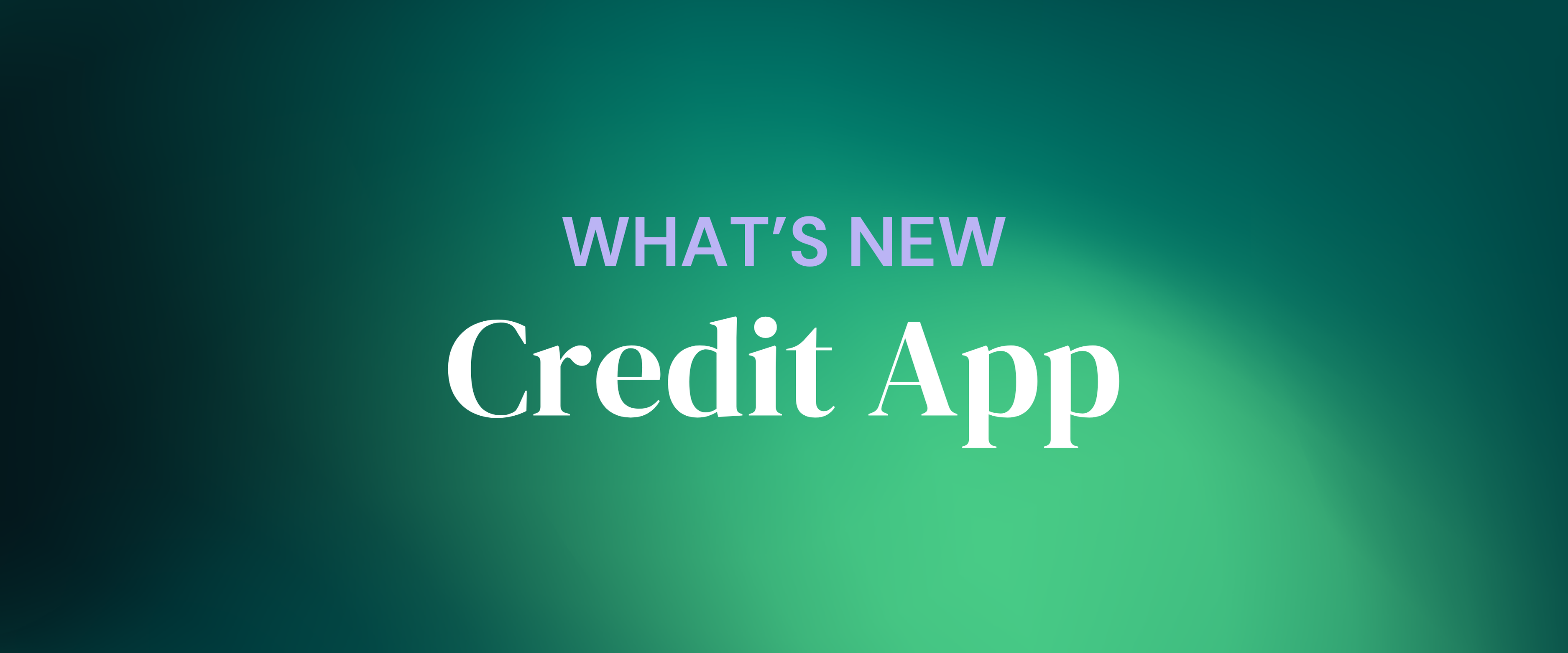Our Digital Credit Application