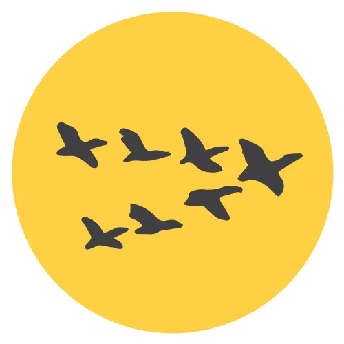 An icon of bird silhouettes flying in formation, representing Leadership Reflections on the podcast