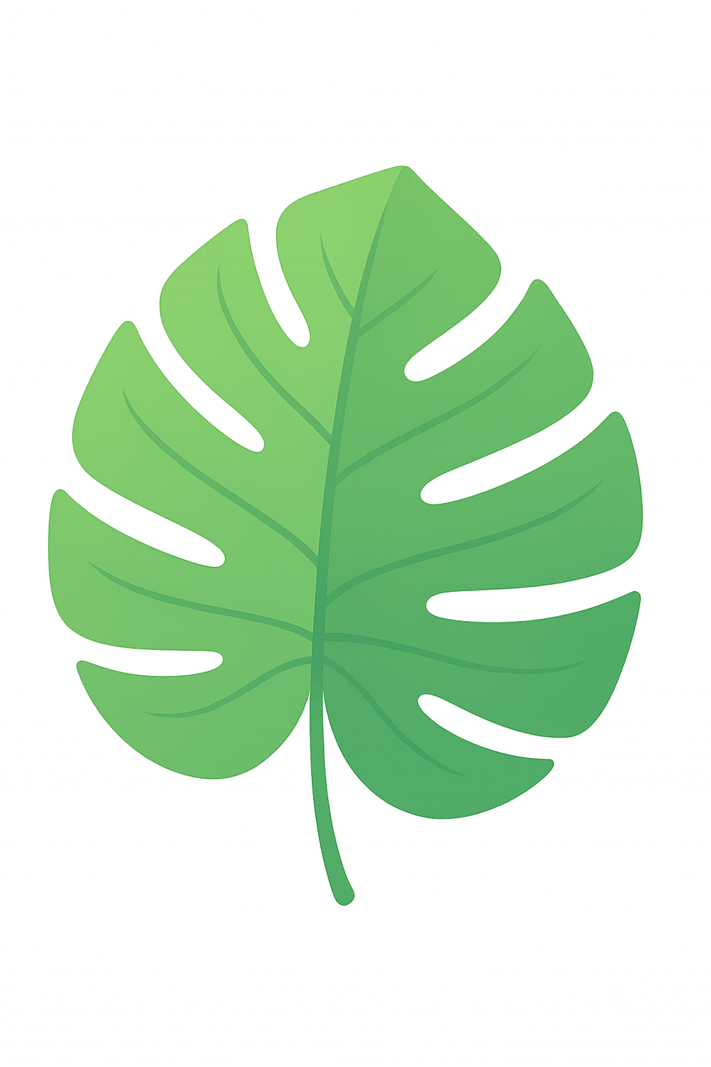 Medium sized leaf