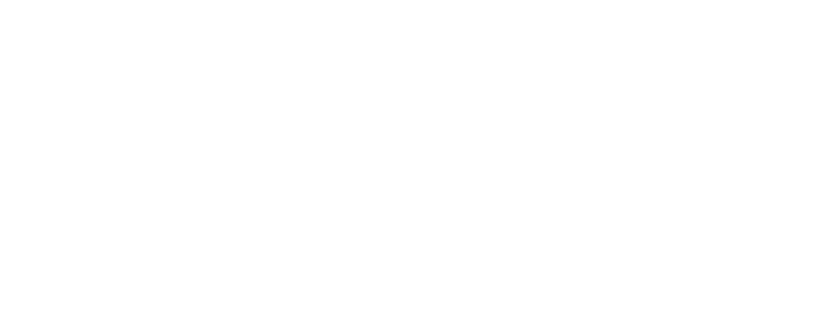 Blue Prism Silver Partner Logo