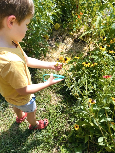 Garden Builders and Sun Seekers promotional image