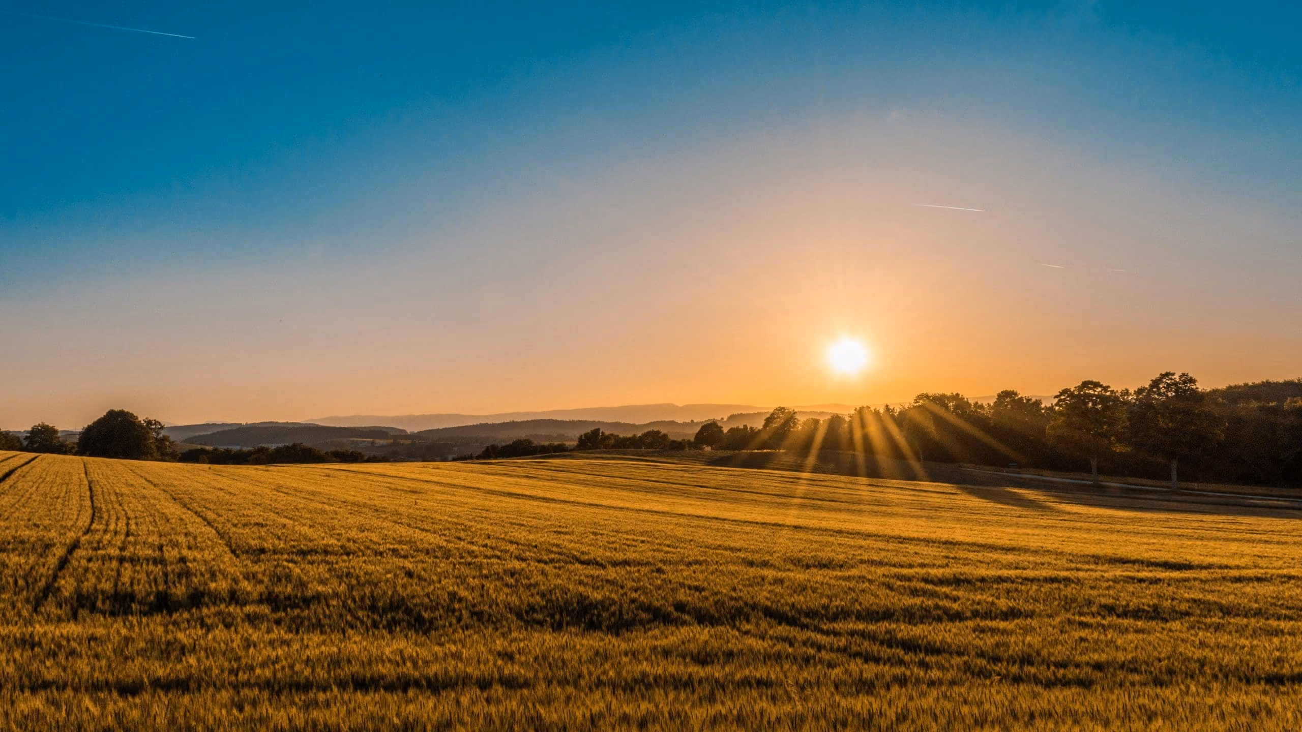 A rural landscape with farmland in the foreground and a rising sun in the background.