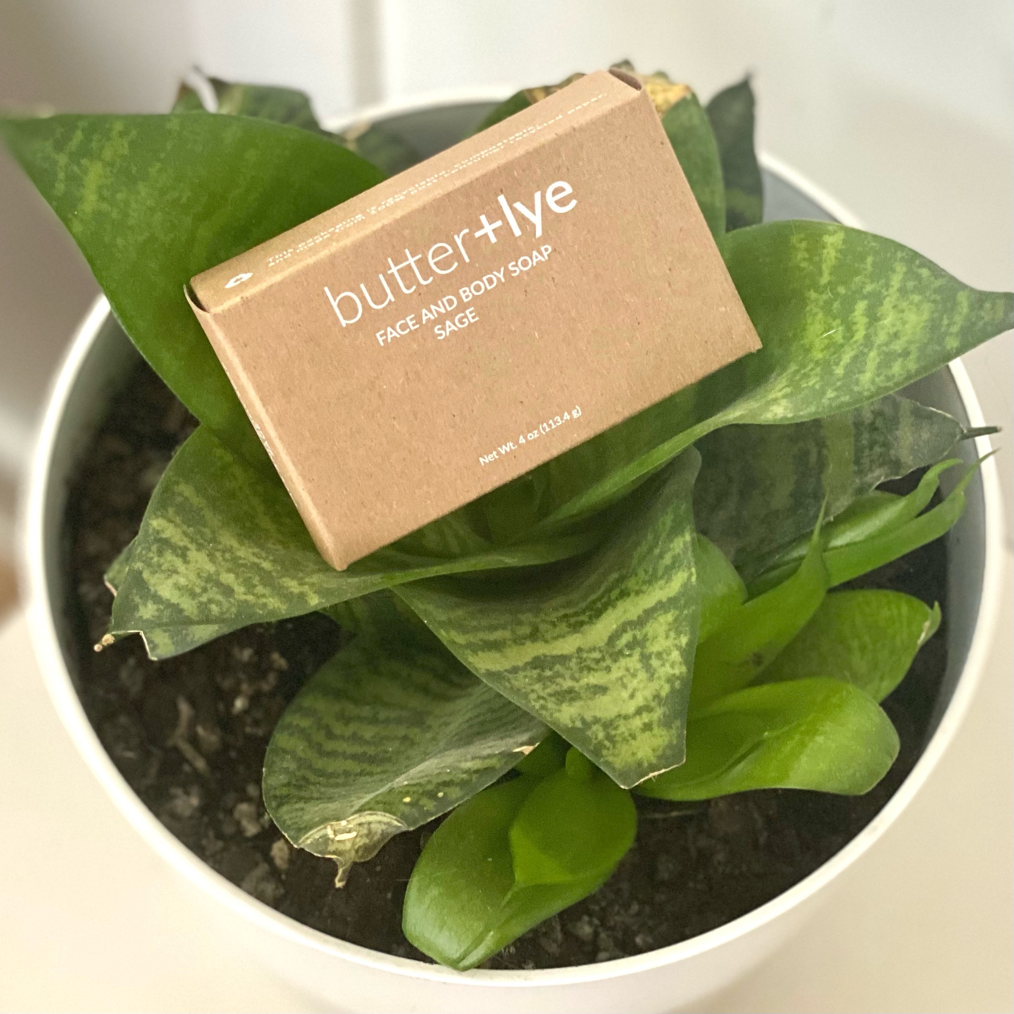 Lather Up: 5 Eco-Friendly Soap Packaging Ideas Customers Adore