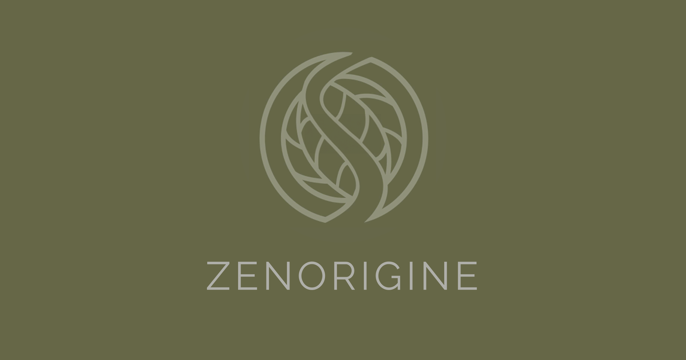 Zen-Origine Massothérapie, Yoga, Pilates & Gym logo