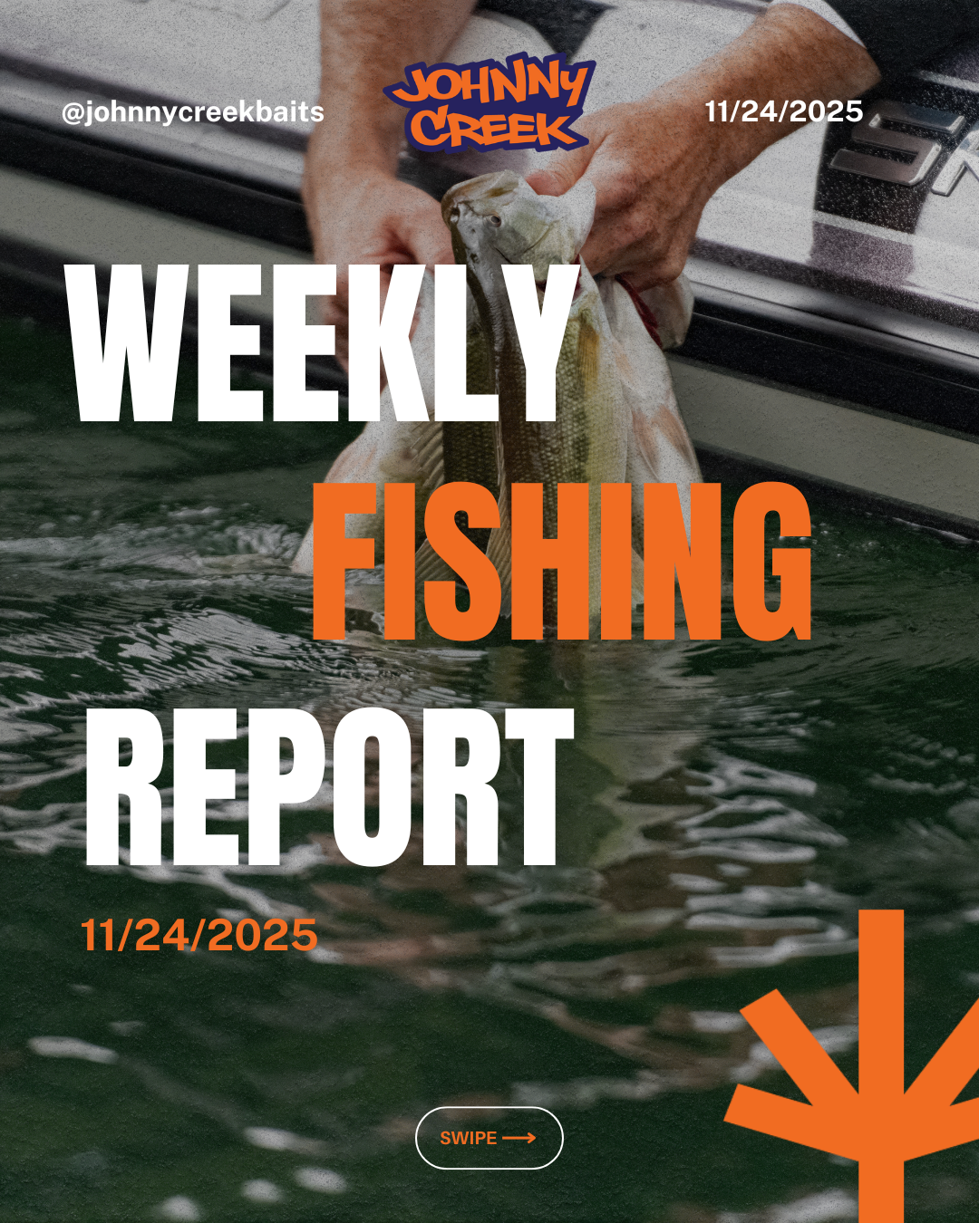 🎣 Johnny Creek Baits Weekly Fishing Report: November 15, 2025-November 21, 2025
