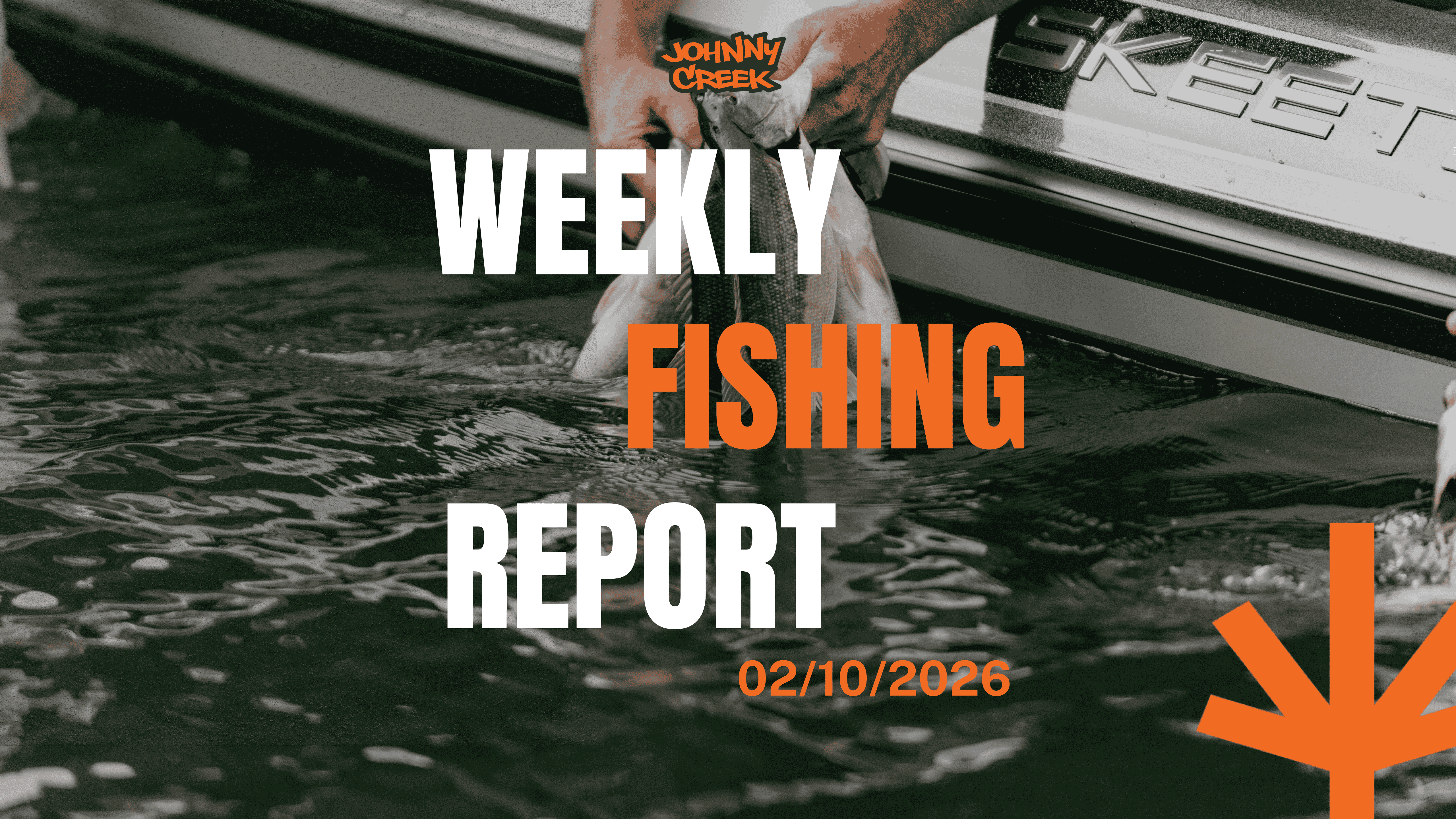 🎣 Johnny Creek Baits Weekly Motherlode Fishing Report: February 10, 2026