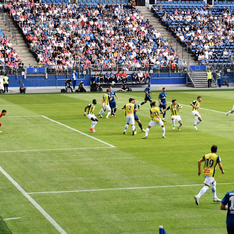 A professional soccer match