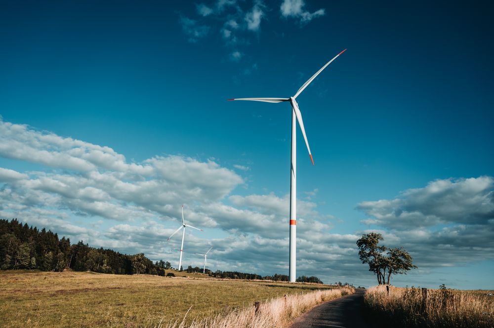 Wind turbines in an open field under a blue sky