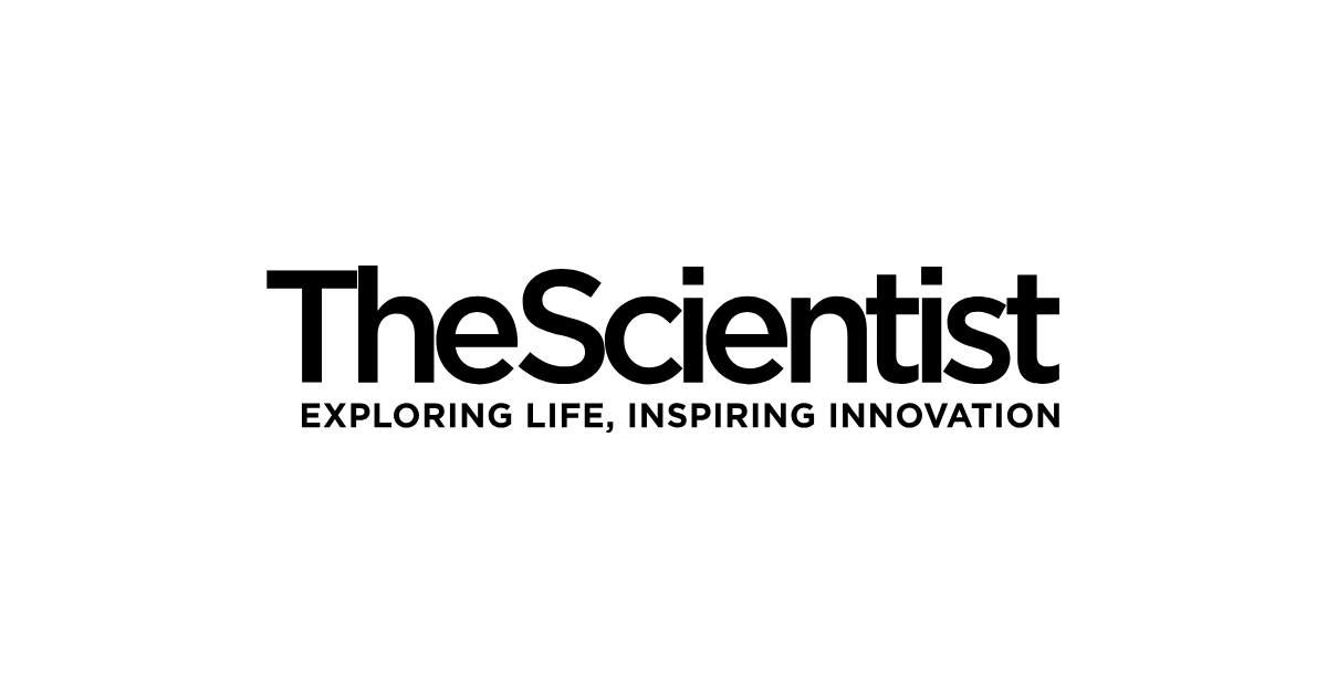 The Scientist magazine logo