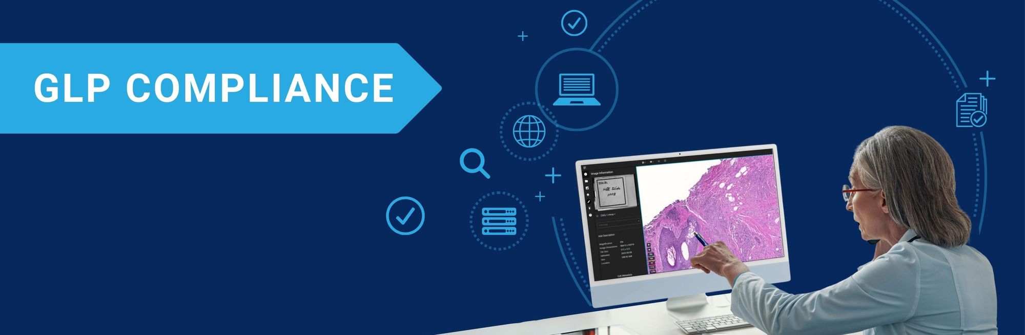 a pathologist viewing slides in a lab staying GLP compliant