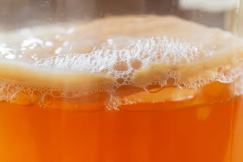Kombucha Berbahaya