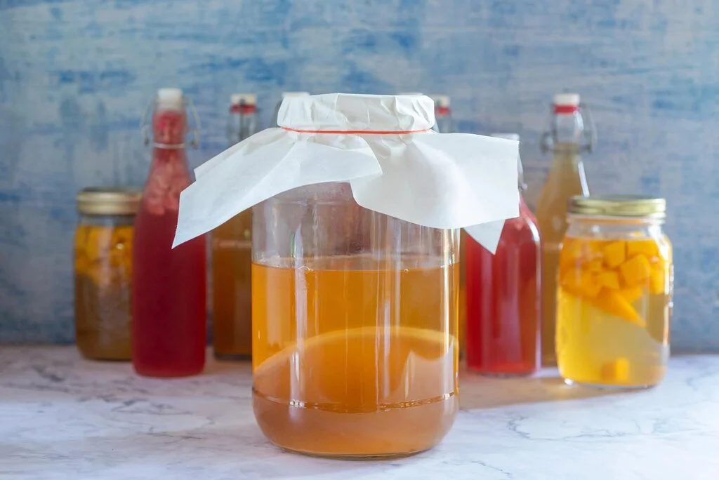Hotel Kombucha