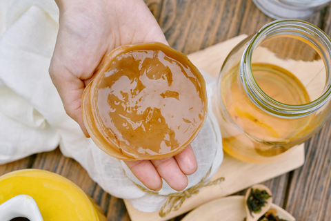 Jamur Kombucha Untuk Kecantikan