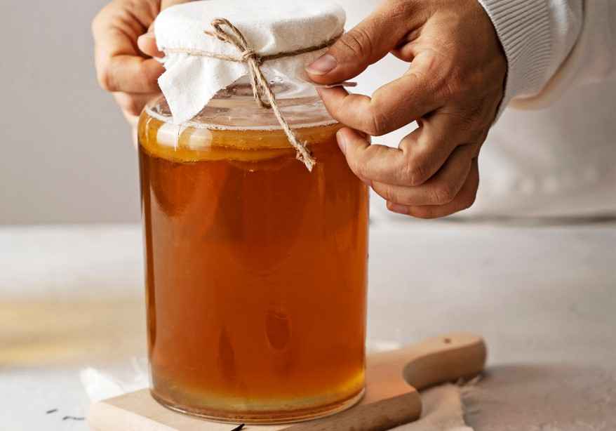 Perbedaan Fermentasi Primer dan Sekunder pada Kombucha