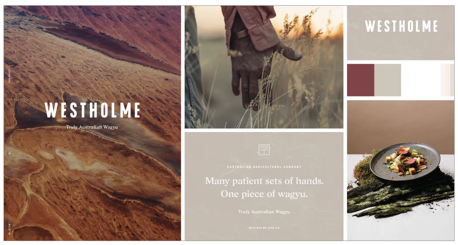 Australian Agricultural Company project image 1 by EXAMPLE Agency