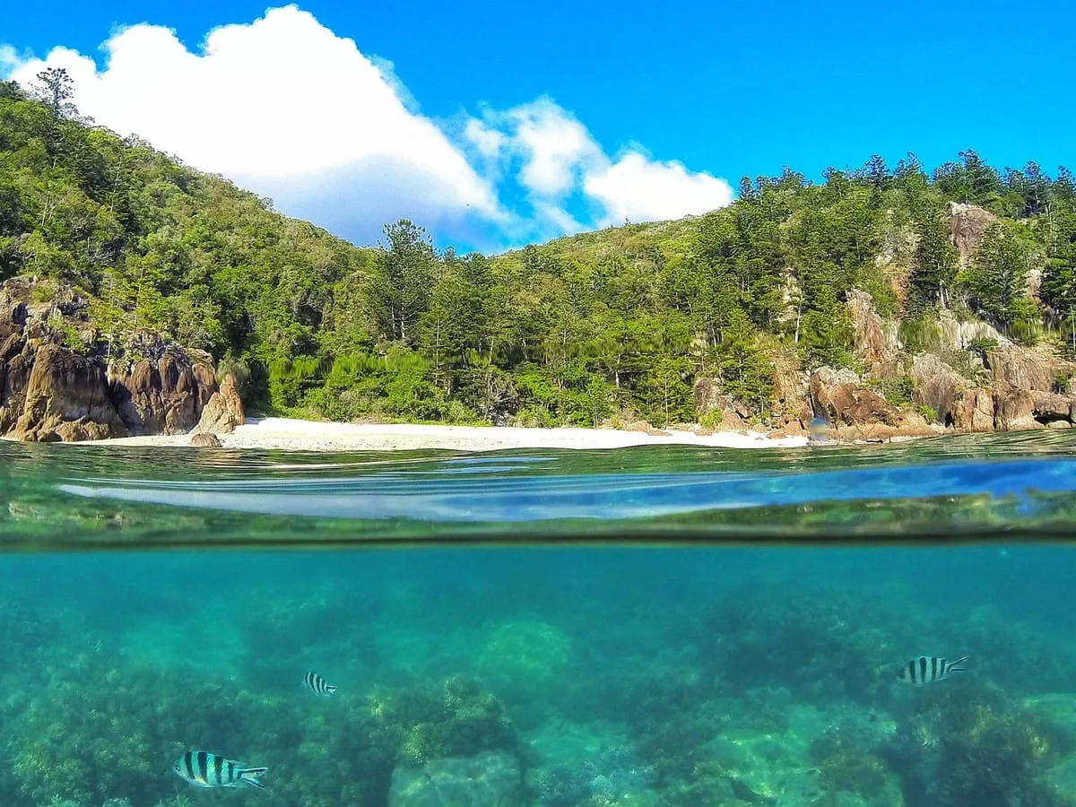 Hook Island project image 4 by EXAMPLE Agency