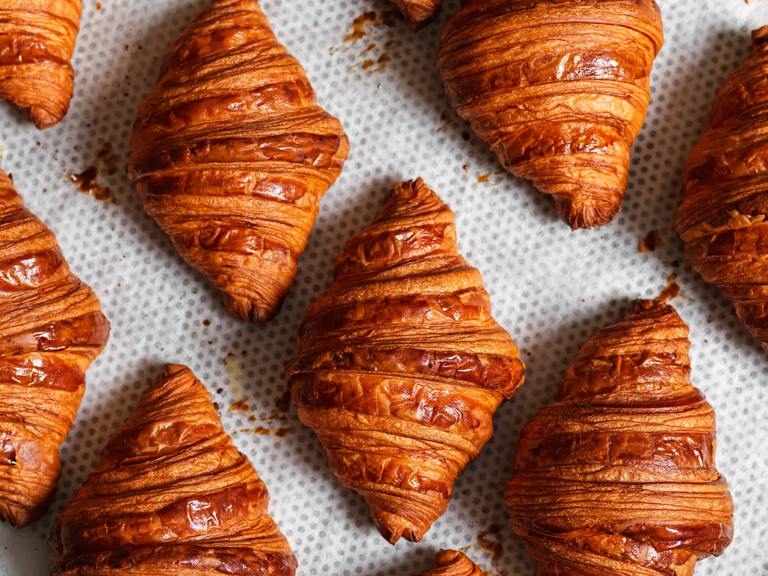 Petit Loulou by EXAMPLE Agency