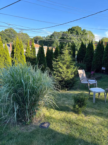 https://upcdn.io/W23MTH6/image/uploads/2025/08/13/4jaavTNMJJ-backyard.jpg?f=avif&w=900&h=500&fit=cover&quality=60
