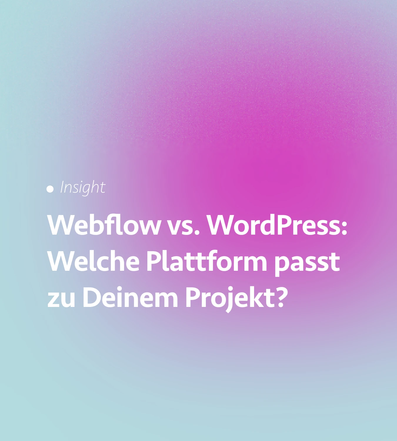 Webflow vs. WordPress: Welche Plattform passt zu Deinem Projekt?