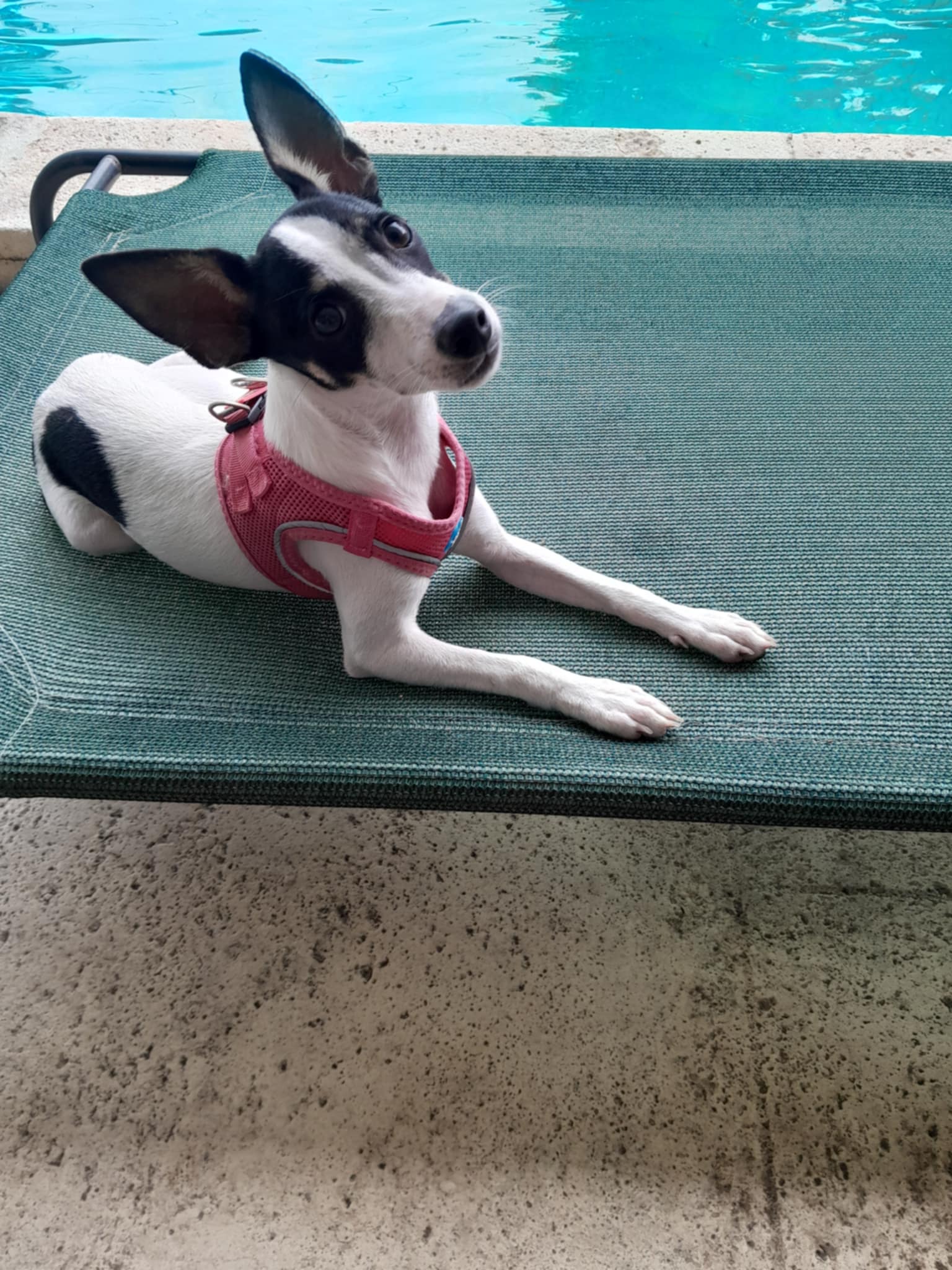 Mia