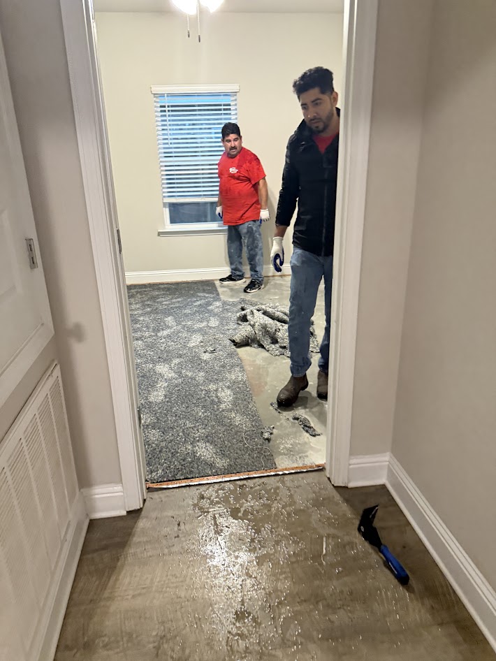 The Real Cost of Delaying Water Damage Restoration in Gulfport Homes