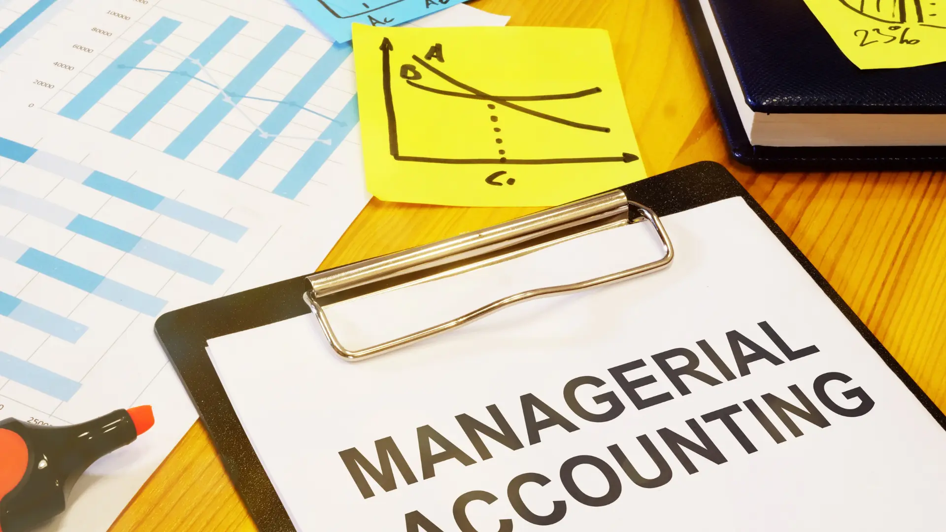 Income Tax Consultants in Nepal: Avoid IRD Penalties & Filing Mistakes