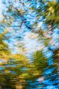 Cervicogenic dizziness in Hornsby
