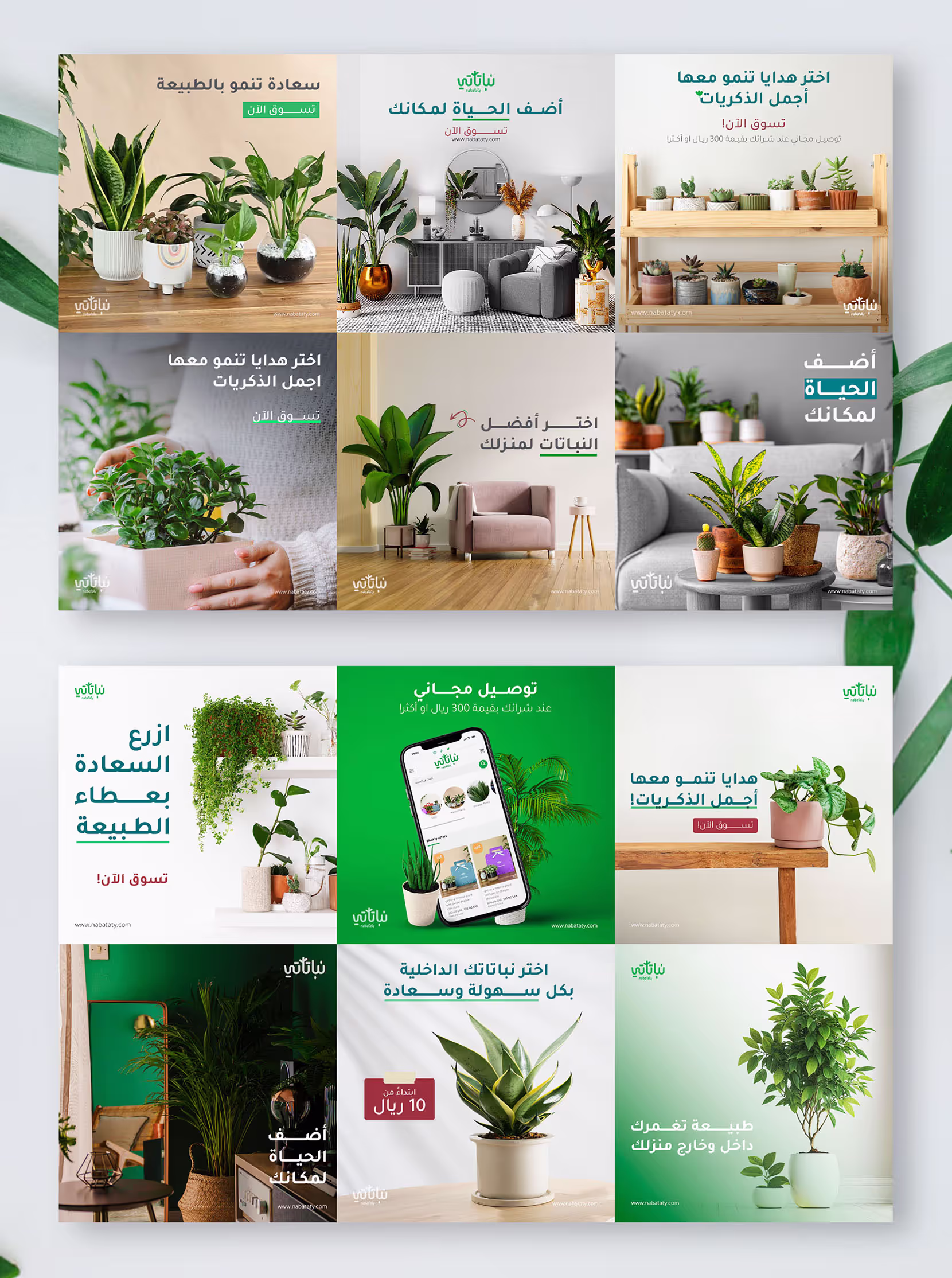 Nabataty Designs