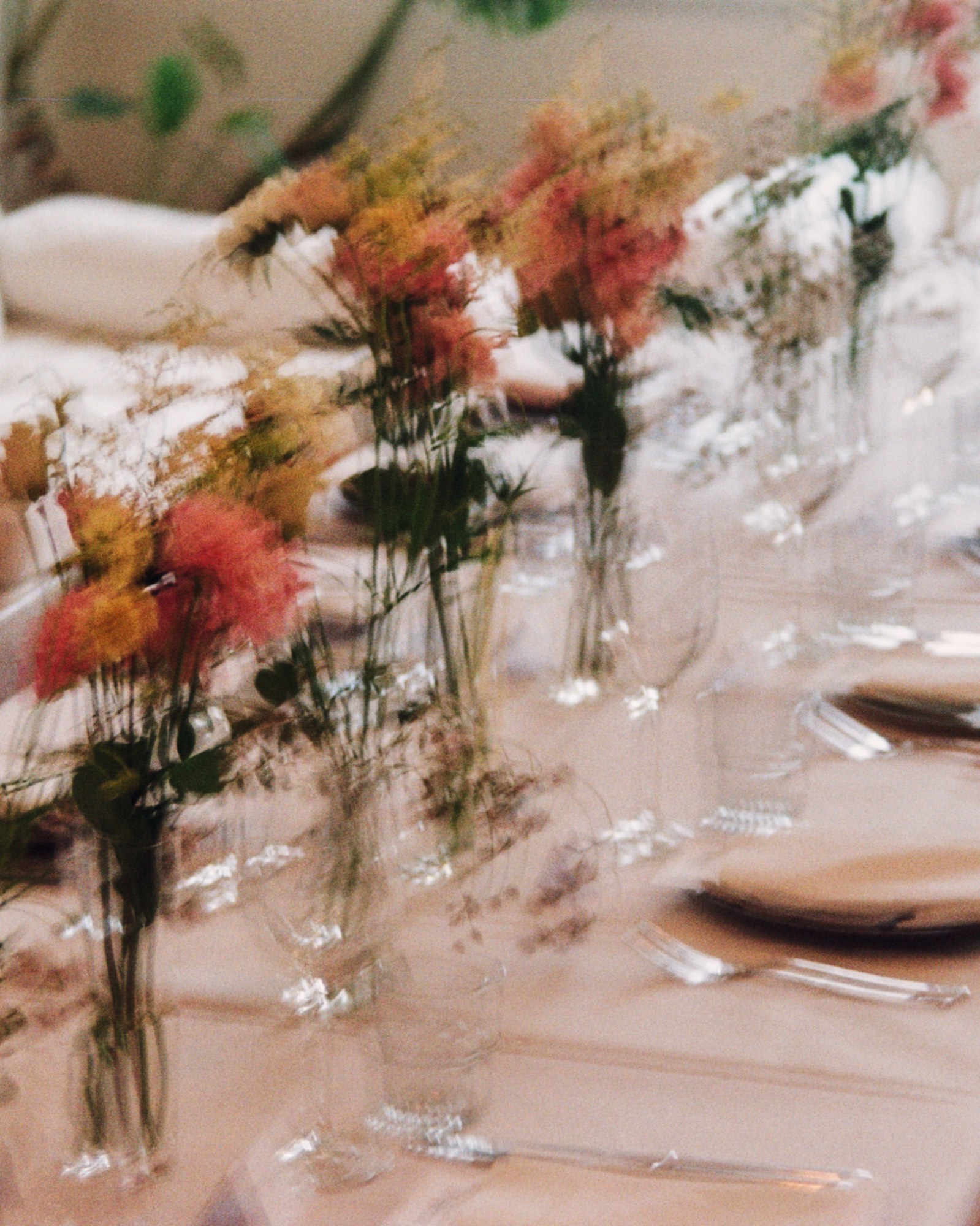 How to Grow Your Event Audience on Instagram and TikTok