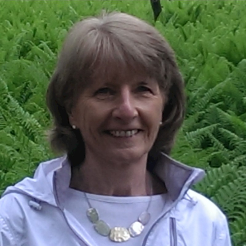 Terri