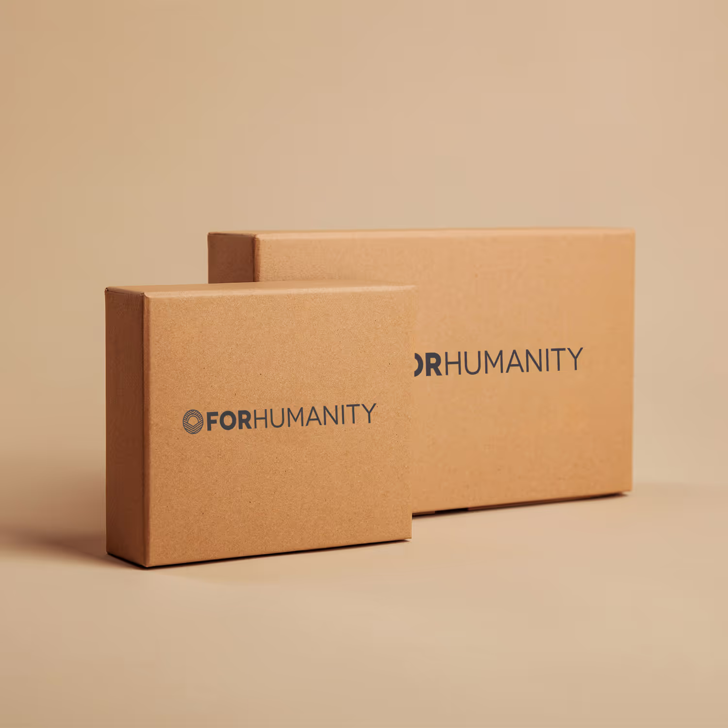 For Humanity Box
