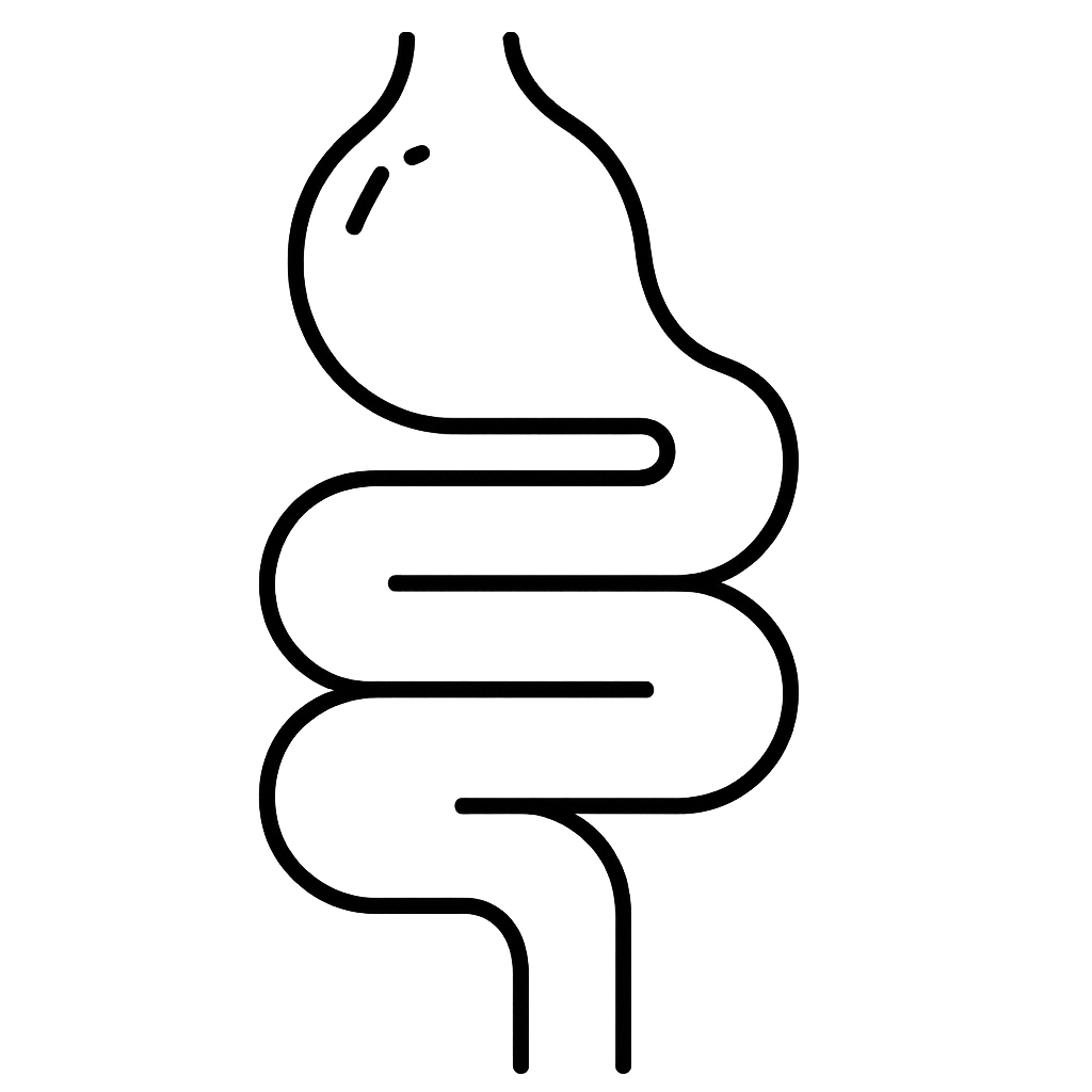 Simplified black line drawing of a stomach and intestines on a white background.
