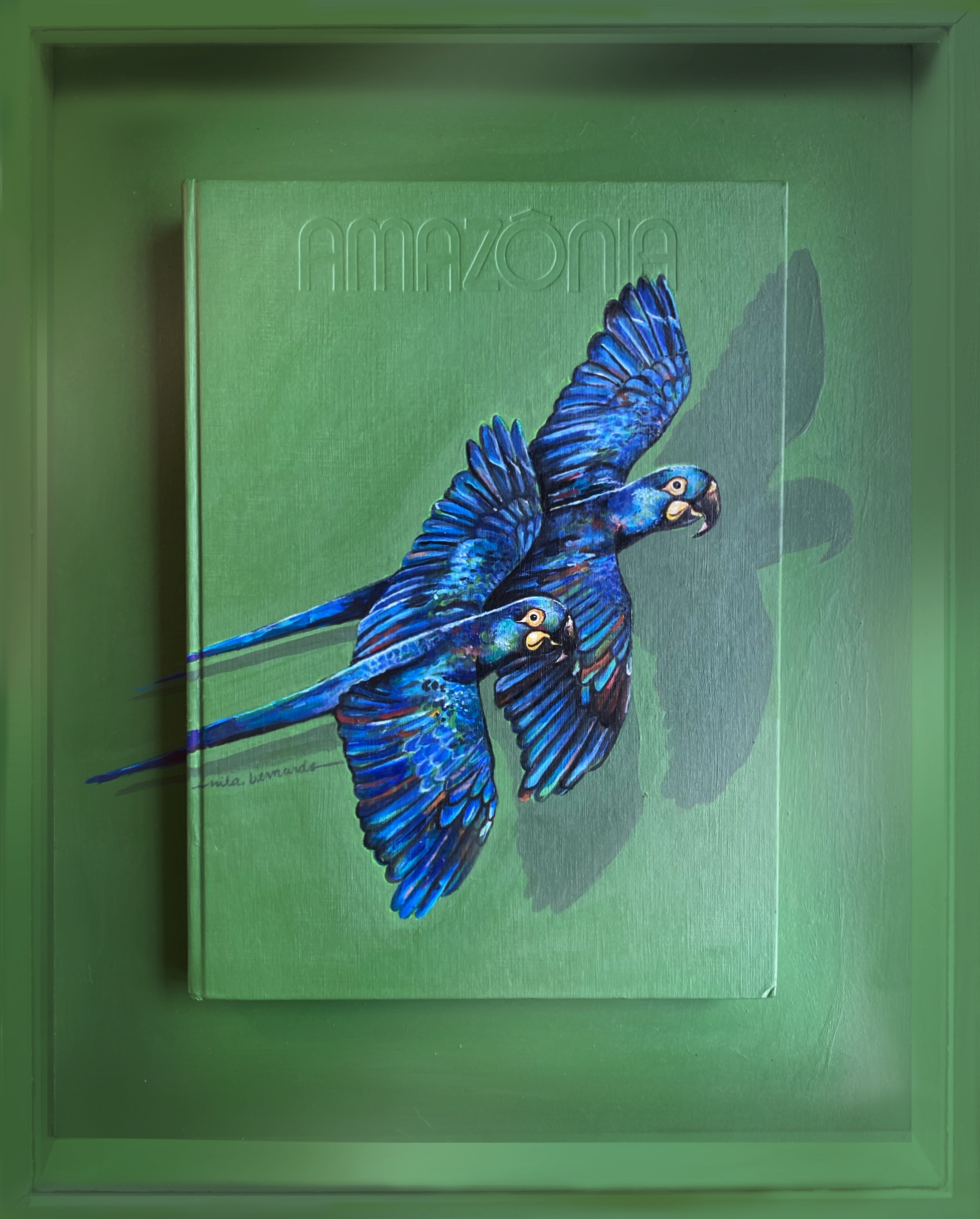 Amazonia, 2025