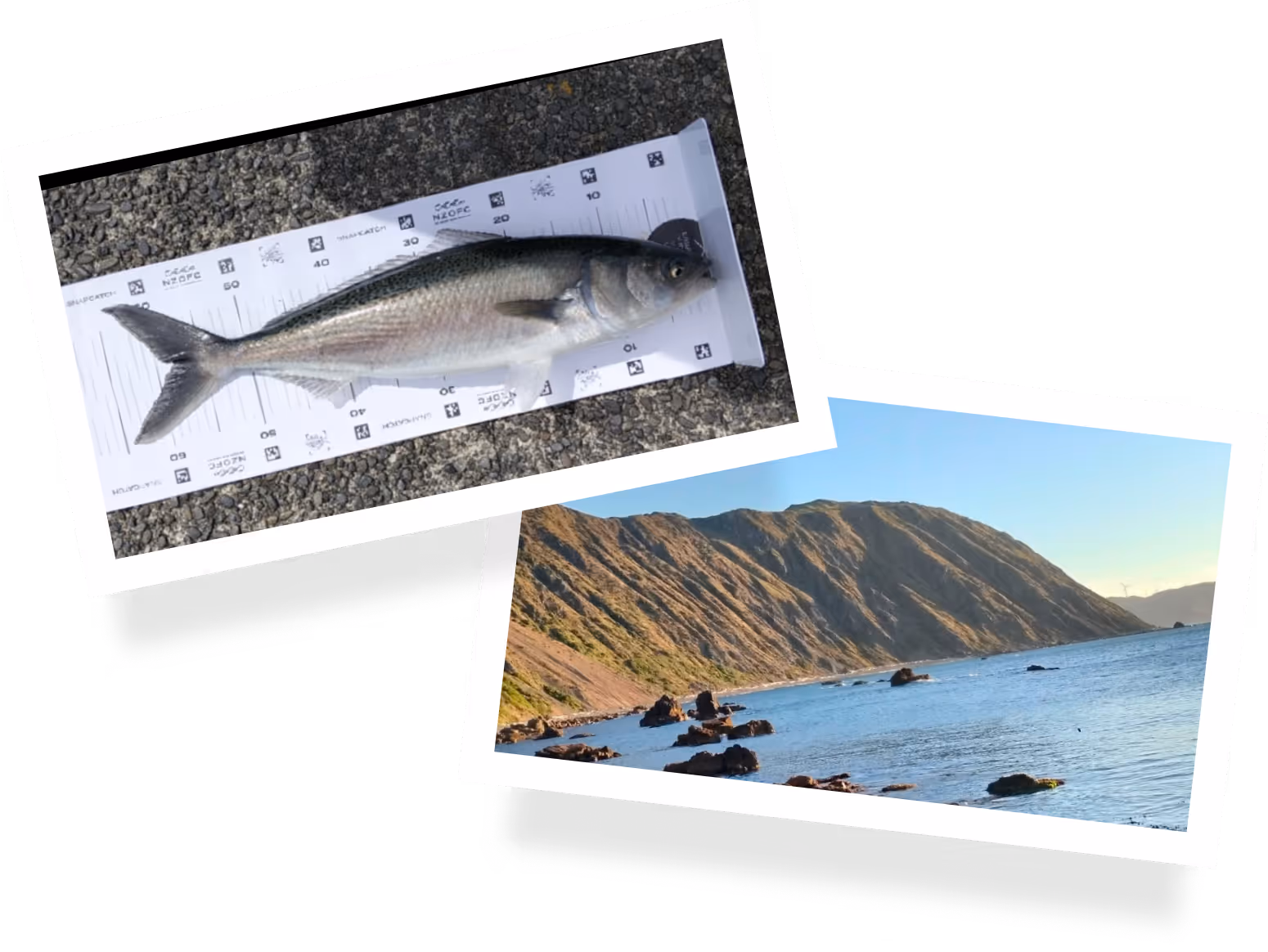 image of kitchenware collection