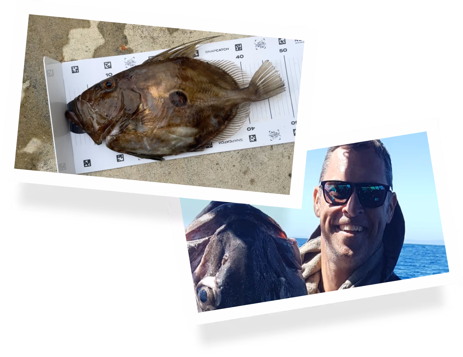 image of kitchenware collection