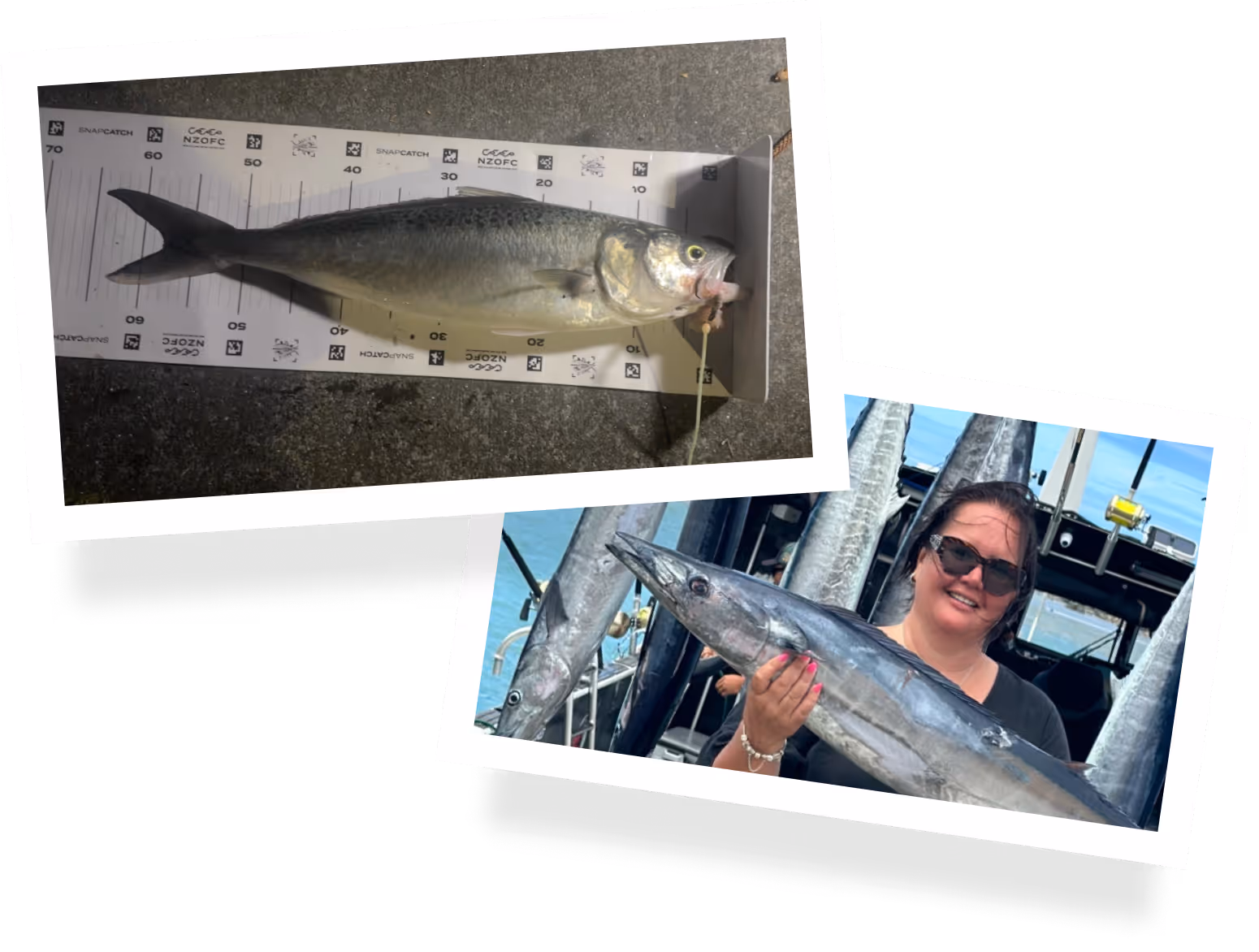 image of kitchenware collection