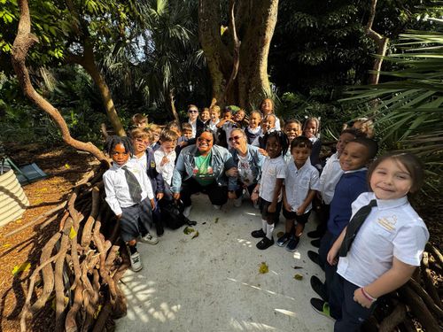 Kindergarten Field Trip to Flamingo Gardens, inside of an Eagles Nest